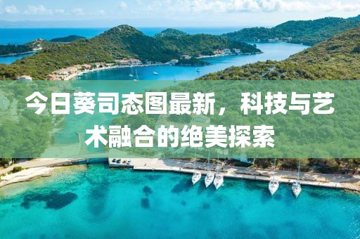 今日葵司态图最新，科技与艺术融合的绝美探索