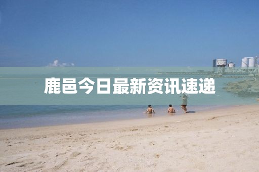 鹿邑今日最新资讯速递