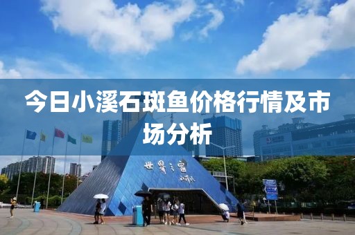 今日小溪石斑鱼价格行情及市场分析