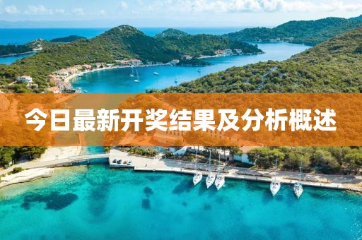 今日最新开奖结果及分析概述