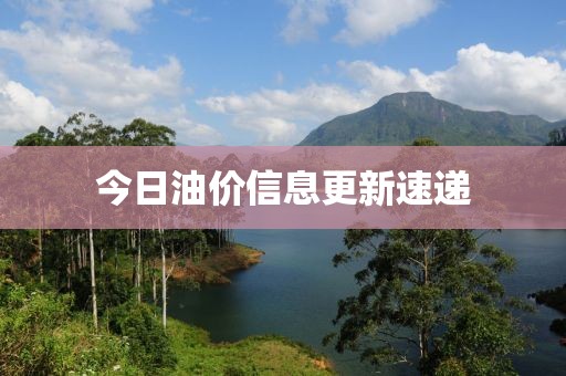 今日油价信息更新速递