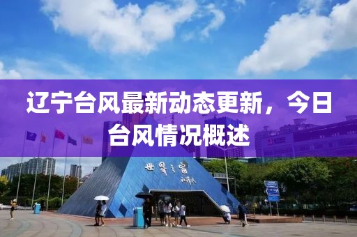 辽宁台风最新动态更新，今日台风情况概述