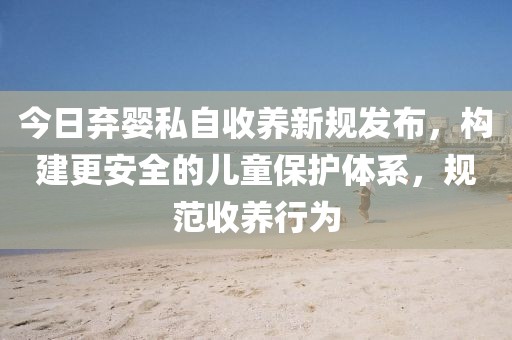 今日弃婴私自收养新规发布，构建更安全的儿童保护体系，规范收养行为