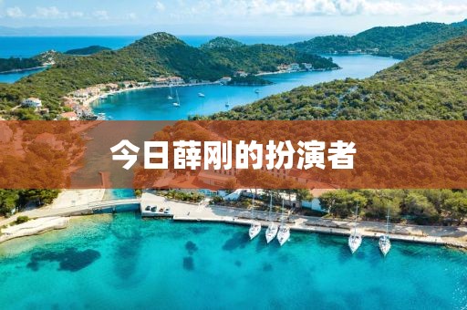 今日薛刚的扮演者
