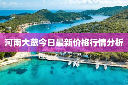 河南大葱今日最新价格行情分析