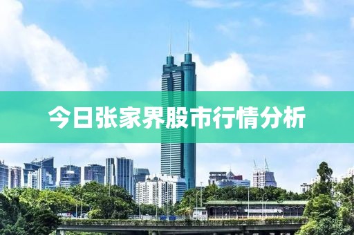 今日张家界股市行情分析