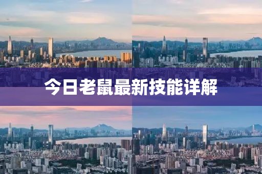 今日老鼠最新技能详解