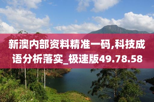 新澳内部资料精准一码,科技成语分析落实_极速版49.78.58