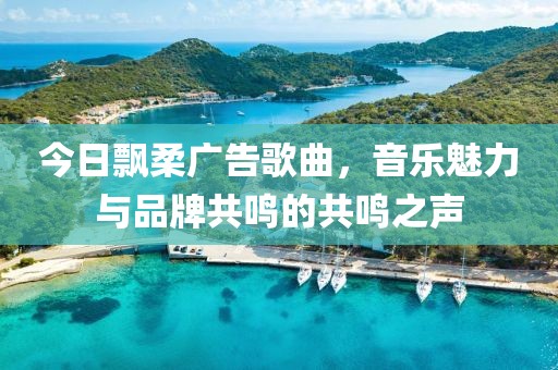 今日飘柔广告歌曲，音乐魅力与品牌共鸣的共鸣之声