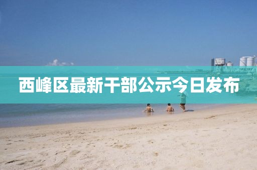 西峰区最新干部公示今日发布