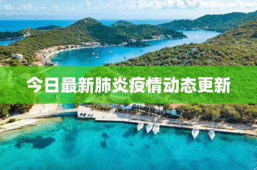 今日最新肺炎疫情动态更新