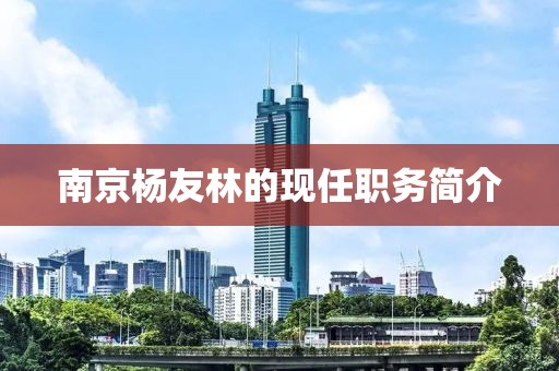 南京杨友林的现任职务简介