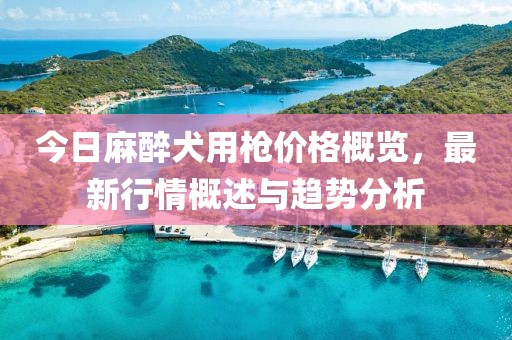 今日麻醉犬用枪价格概览，最新行情概述与趋势分析