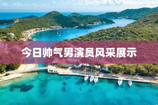 今日帅气男演员风采展示