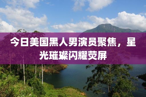 今日美国黑人男演员聚焦，星光璀璨闪耀荧屏