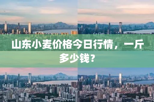 山东小麦价格今日行情，一斤多少钱？