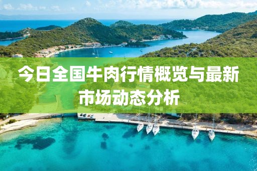 今日全国牛肉行情概览与最新市场动态分析