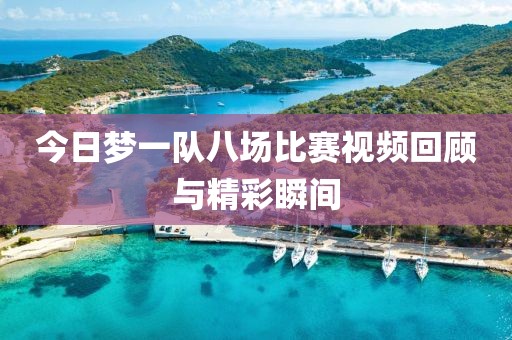 今日梦一队八场比赛视频回顾与精彩瞬间