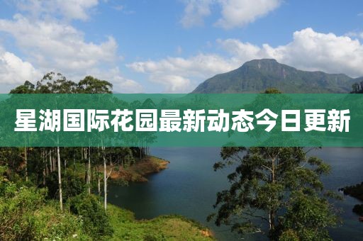 星湖国际花园最新动态今日更新