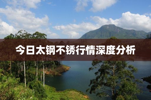 今日太钢不锈行情深度分析