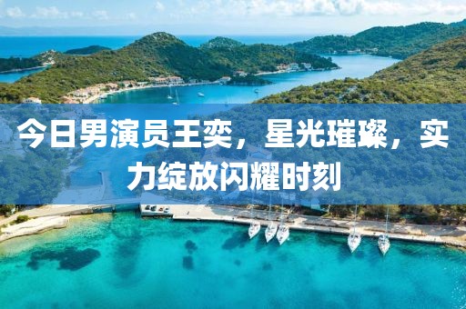 今日男演员王奕，星光璀璨，实力绽放闪耀时刻