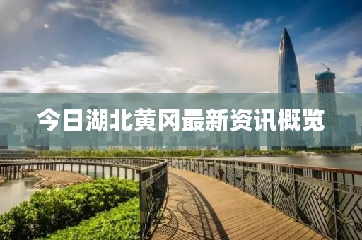 今日湖北黄冈最新资讯概览
