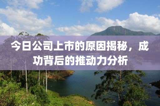 今日公司上市的原因揭秘，成功背后的推动力分析