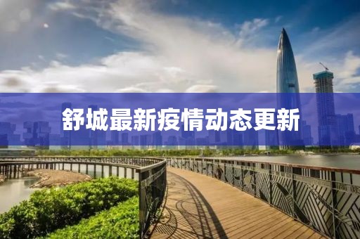 舒城最新疫情动态更新