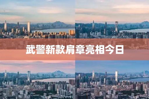 武警新款肩章亮相今日