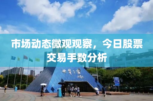 市场动态微观观察，今日股票交易手数分析