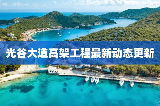 光谷大道高架工程最新动态更新