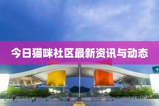 今日猫咪社区最新资讯与动态