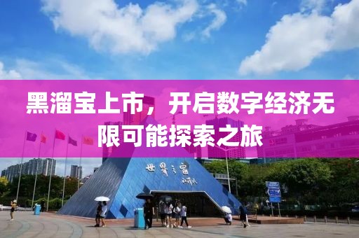 黑溜宝上市，开启数字经济无限可能探索之旅