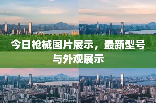 今日枪械图片展示，最新型号与外观展示