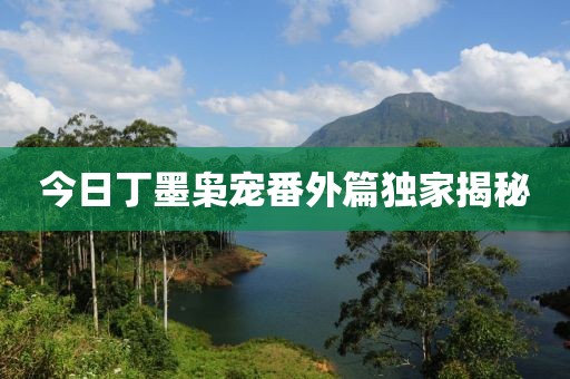 今日丁墨枭宠番外篇独家揭秘