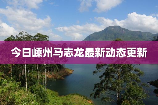 今日嵊州马志龙最新动态更新