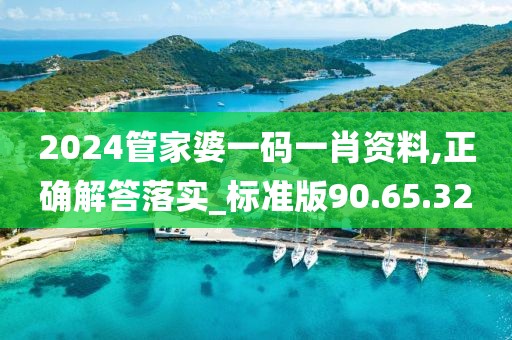 2024管家婆一码一肖资料,正确解答落实_标准版90.65.32