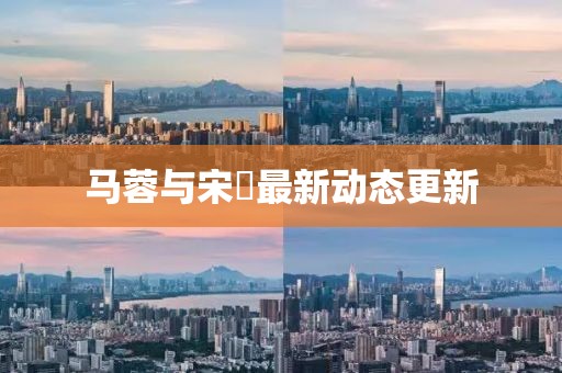 马蓉与宋喆最新动态更新
