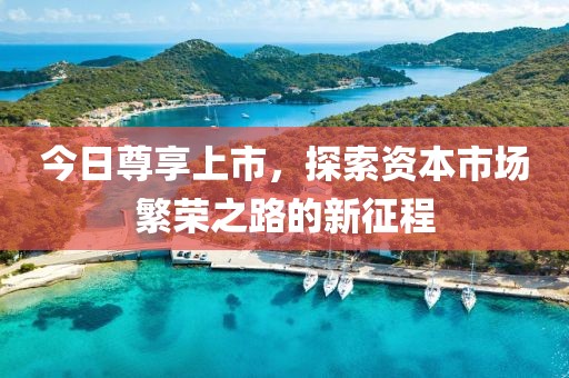 今日尊享上市，探索资本市场繁荣之路的新征程