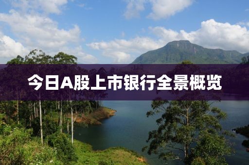今日A股上市银行全景概览