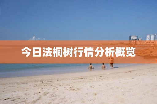 今日法桐树行情分析概览