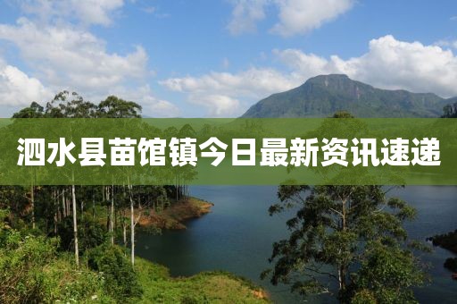 泗水县苗馆镇今日最新资讯速递