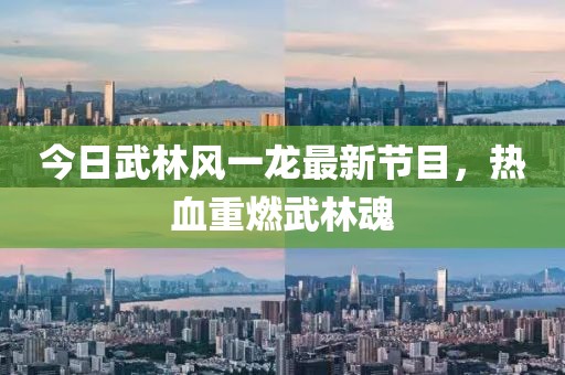 今日武林风一龙最新节目，热血重燃武林魂
