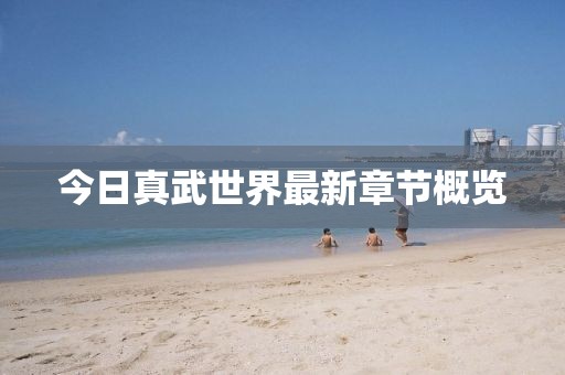 今日真武世界最新章节概览