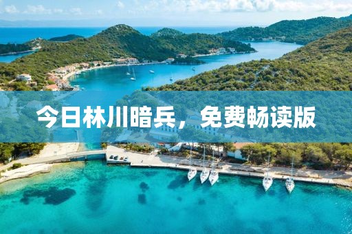 今日林川暗兵，免费畅读版