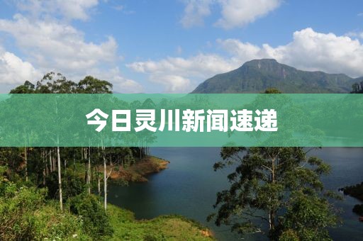 今日灵川新闻速递