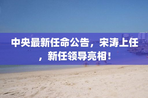 中央最新任命公告，宋涛上任，新任领导亮相！