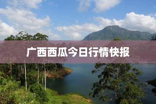 广西西瓜今日行情快报