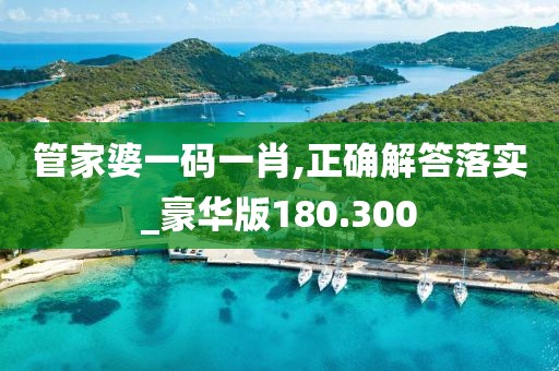 管家婆一码一肖,正确解答落实_豪华版180.300