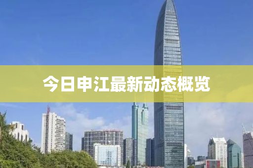 今日申江最新动态概览